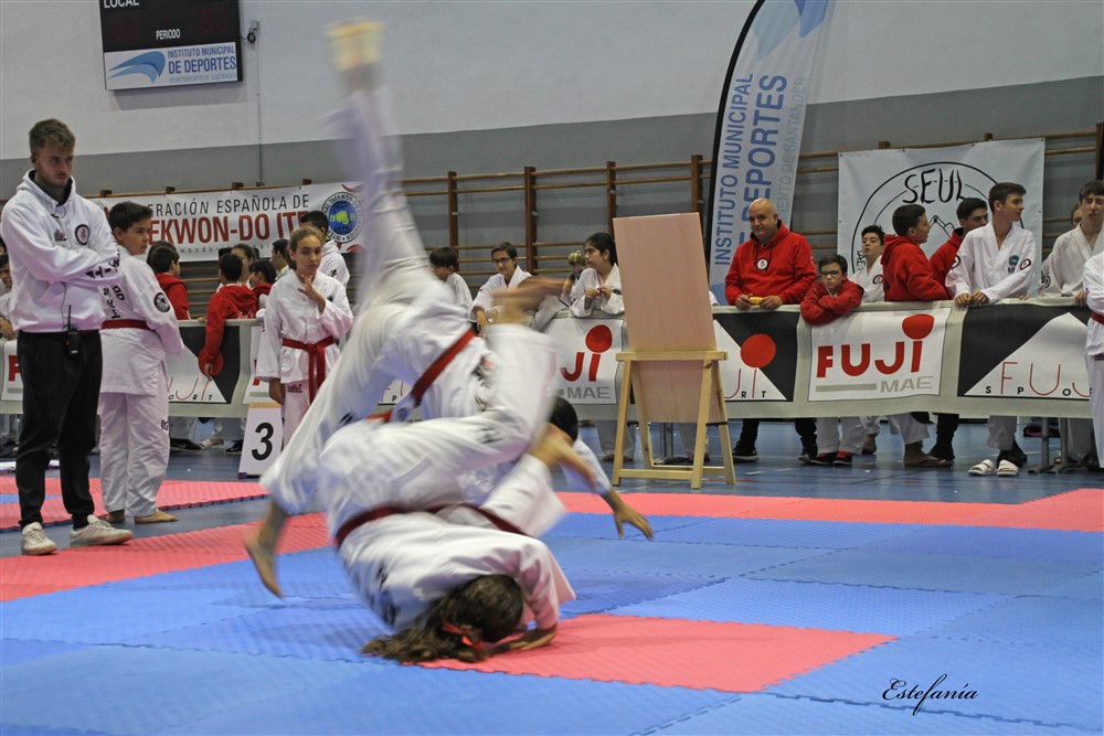 Copa Seul 2018 (377).jpg